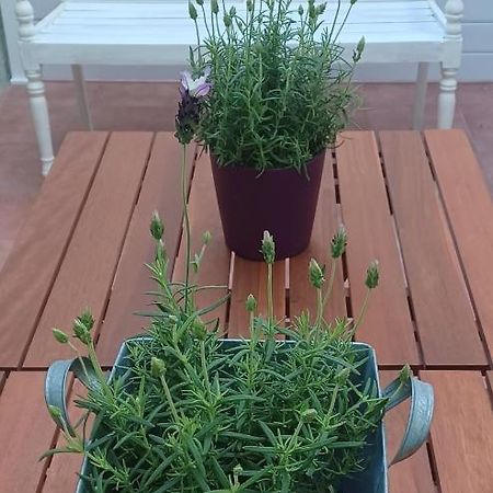 Bárig L'Hotelet 16 Rural Loft מראה חיצוני תמונה