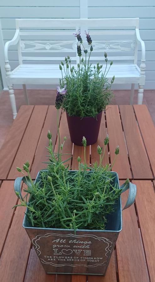 Bárig L'Hotelet 16 Rural Loft מראה חיצוני תמונה