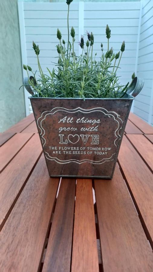 Bárig L'Hotelet 16 Rural Loft מראה חיצוני תמונה